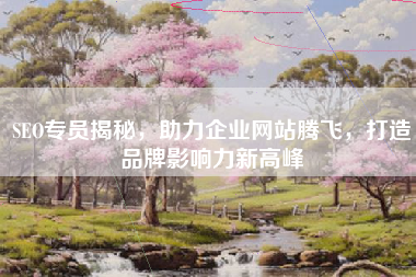 SEO专员揭秘，助力企业网站腾飞，打造品牌影响力新高峰
