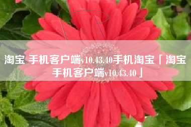 淘宝 手机客户端v10.43.40手机淘宝「淘宝 手机客户端v10.43.40」