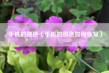 手机的颜色（手机的颜色如何恢复）