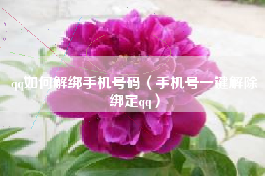 qq如何解绑手机号码（手机号一键解除绑定qq）