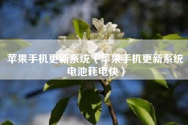 苹果手机更新系统（苹果手机更新系统电池耗电快）