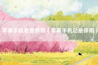 苹果手机老是停用（苹果手机总是停用）