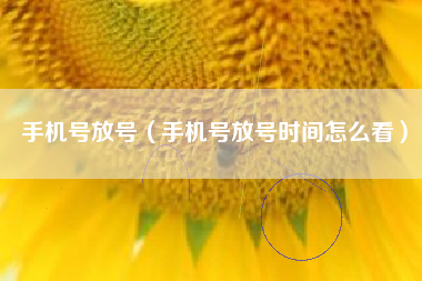 手机号放号（手机号放号时间怎么看）