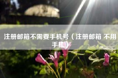 注册邮箱不需要手机号（注册邮箱 不用手机）