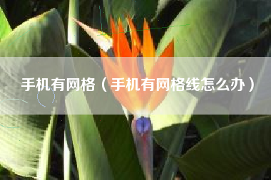 手机有网格（手机有网格线怎么办）
