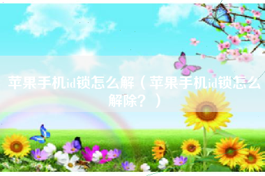 苹果手机id锁怎么解（苹果手机id锁怎么解除？）