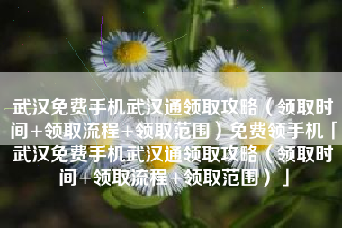 武汉免费手机武汉通领取攻略（领取时间+领取流程+领取范围）免费领手机「武汉免费手机武汉通领取攻略（领取时间+领取流程+领取范围）」