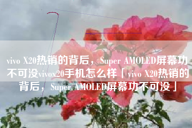 vivo X20热销的背后，Super AMOLED屏幕功不可没vivox20手机怎么样「vivo X20热销的背后，Super AMOLED屏幕功不可没」