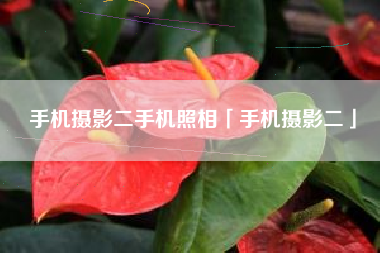 手机摄影二手机照相「手机摄影二」