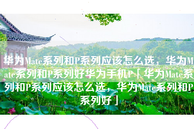 华为Mate系列和P系列应该怎么选，华为Mate系列和P系列好华为手机P「华为Mate系列和P系列应该怎么选，华为Mate系列和P系列好」