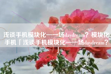 浅谈手机模块化—一场daydream？模块化手机「浅谈手机模块化—一场daydream？」