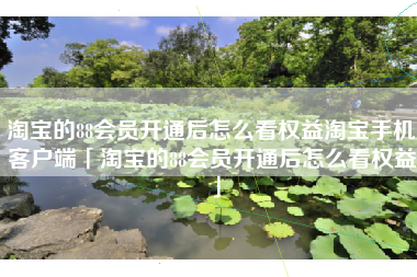 淘宝的88会员开通后怎么看权益淘宝手机客户端「淘宝的88会员开通后怎么看权益」
