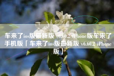 车来了ios版最新版 v6.60.2 iPhone版车来了手机版「车来了ios版最新版 v6.60.2 iPhone版」