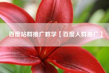 百度站群推广教学【百度人群推广】
