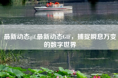 最新动态gif,最新动态GIF，捕捉瞬息万变的数字世界